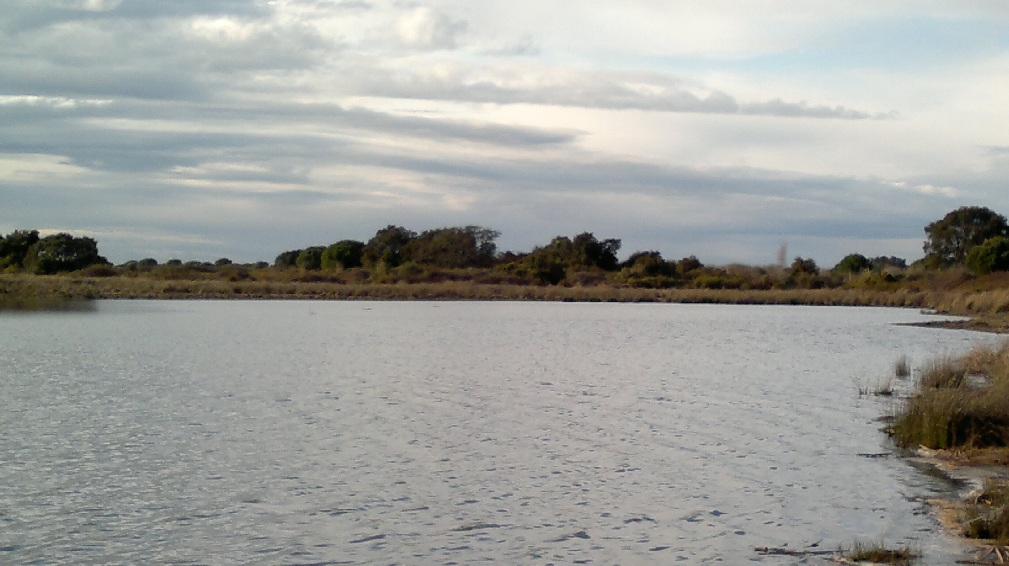Laguna en Doñana