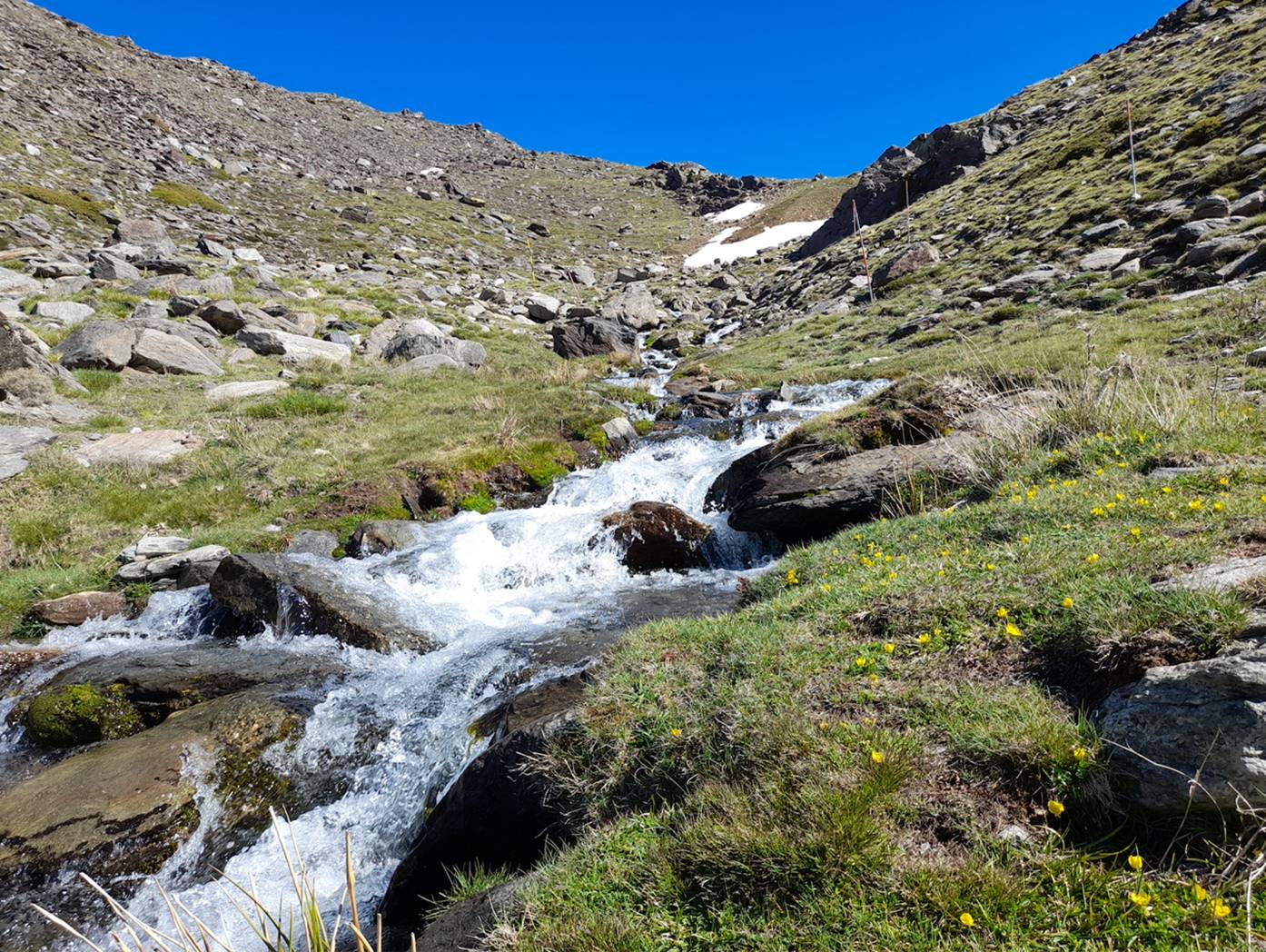 Arroyo de alta montaña en Sierra Nevada.