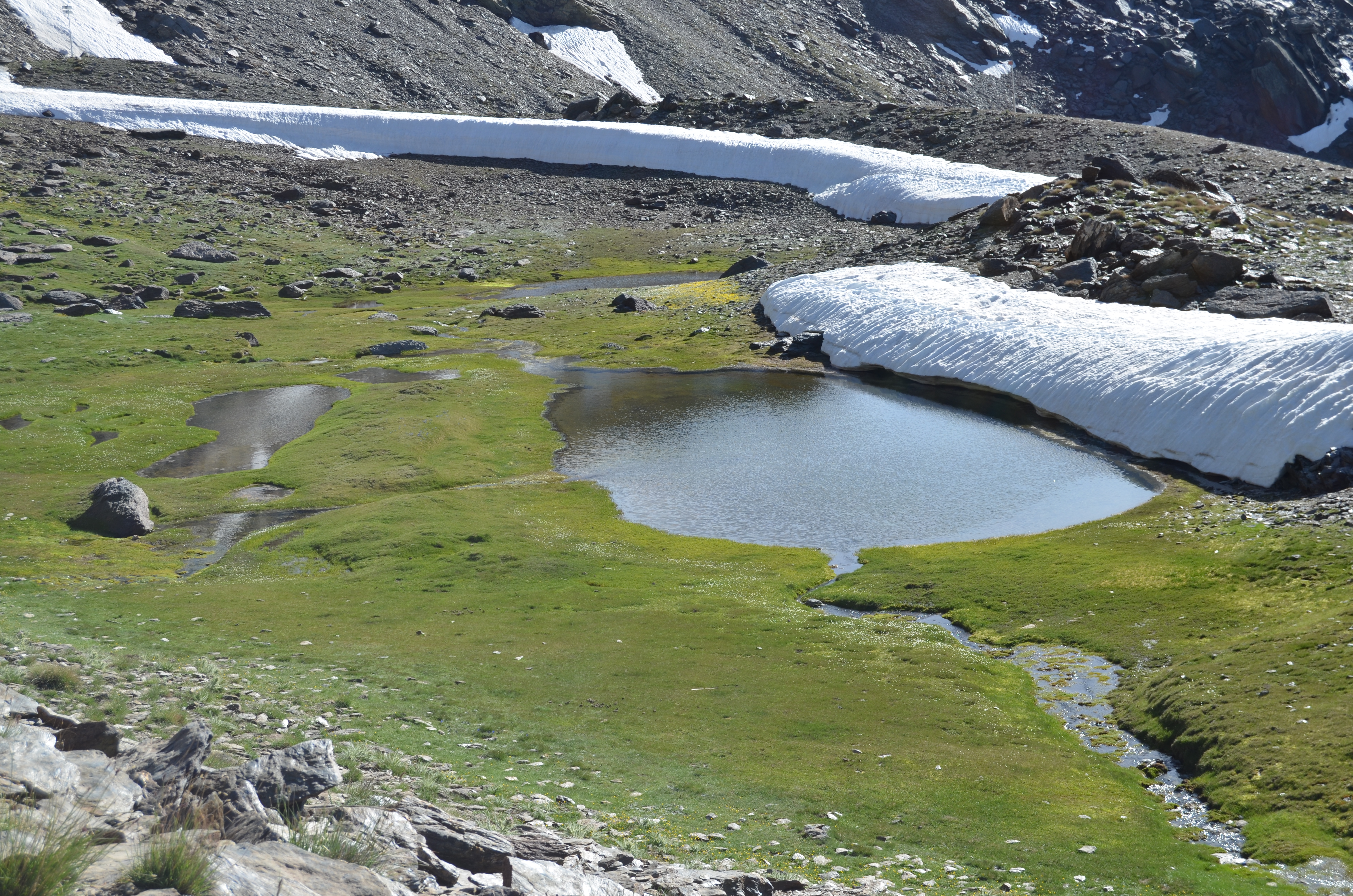 Lagunillo Medio de la Ermita