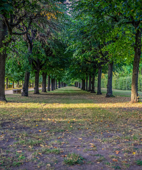 Zona verde en una ciudad