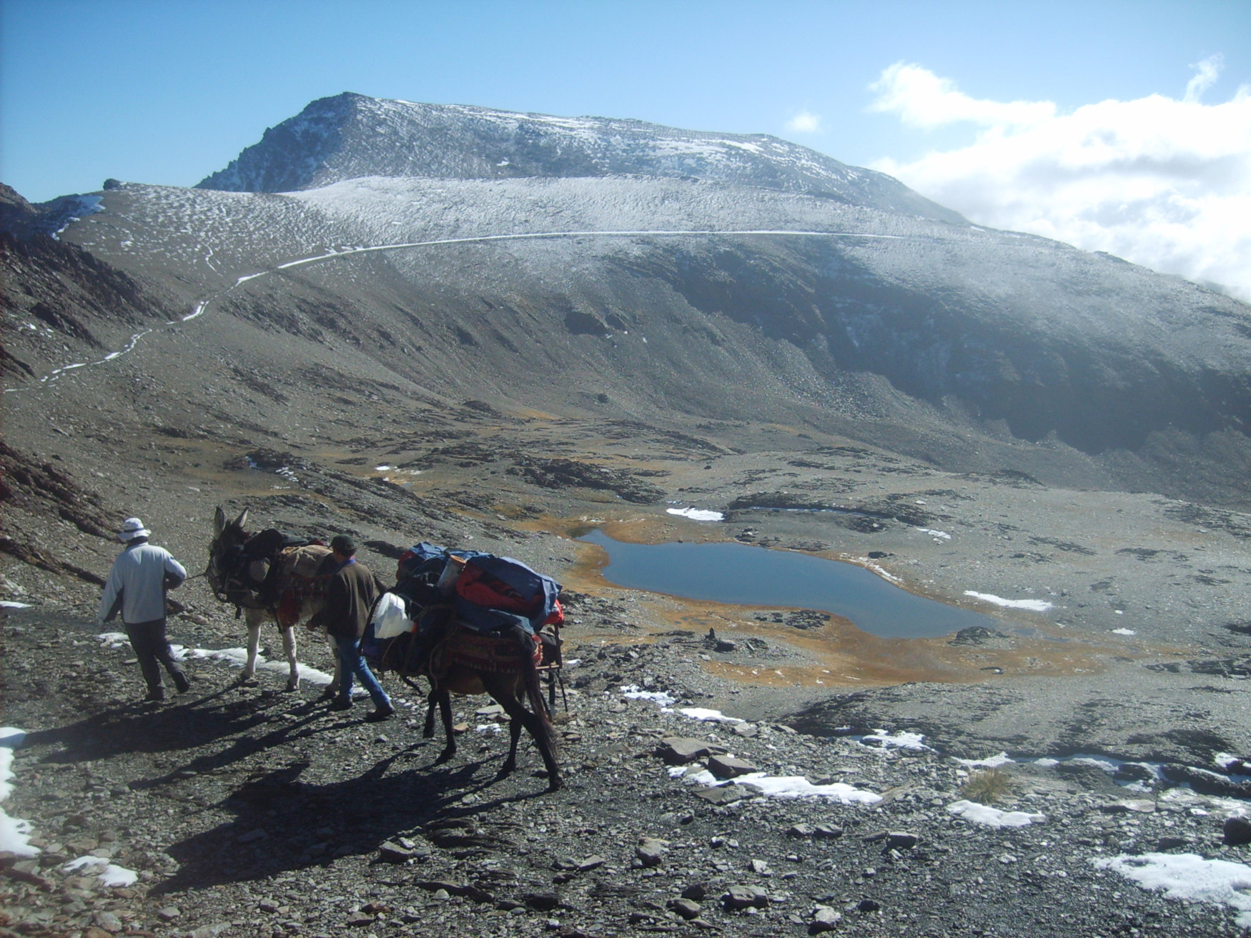 Dos hombres y dos mulas en Sierra Nevada